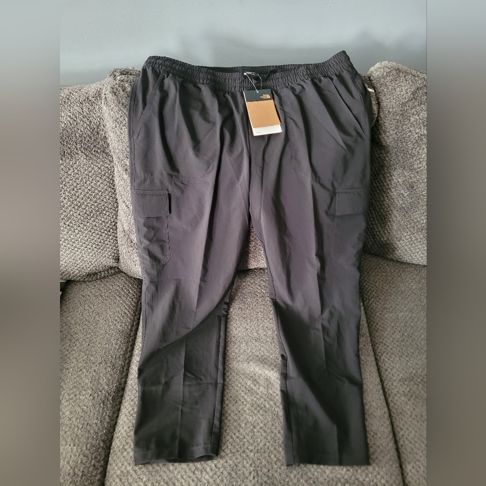 North Face Never Stop Cargo Pants